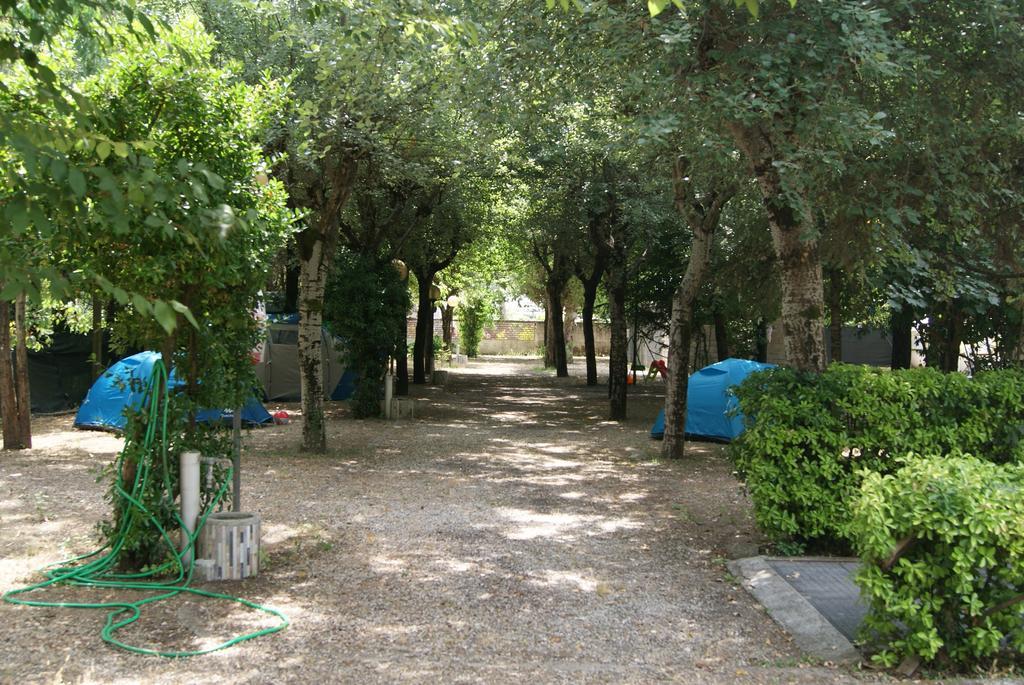 Camping Dolce Sole Марина-ди-Масса Экстерьер фото
