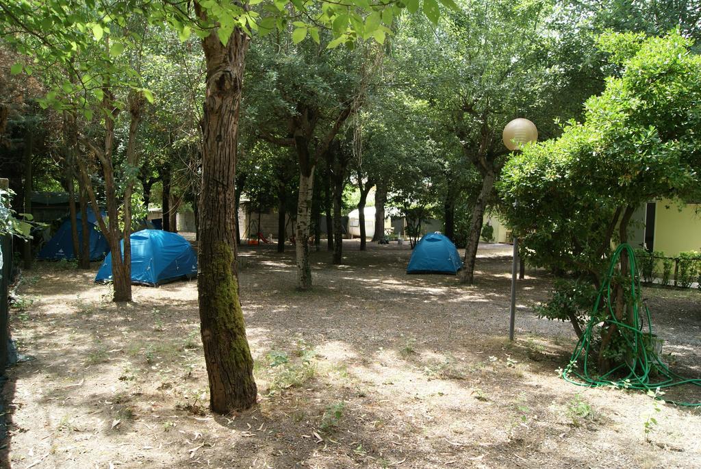 Camping Dolce Sole Марина-ди-Масса Номер фото